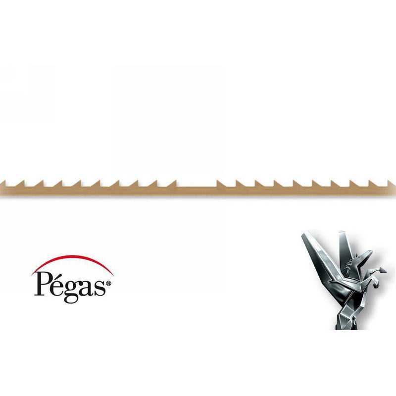 PEGAS DOVETAIL PROGRESSIVE REVERSE SCROLL SAW BLADES FOR شفرات سكرول سو (منشار خطاط) سويسريه 12 حبه